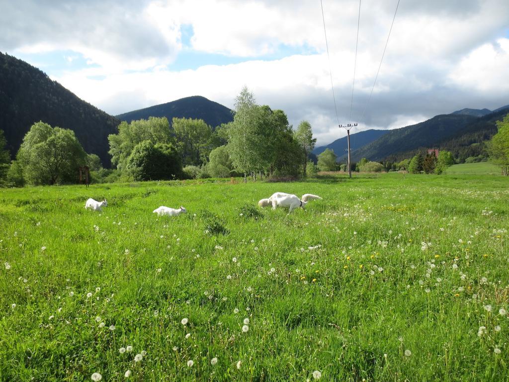 Villa Victoria Penzion Liptovský Ján Dış mekan fotoğraf